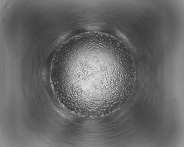 X0000080190161200612081436