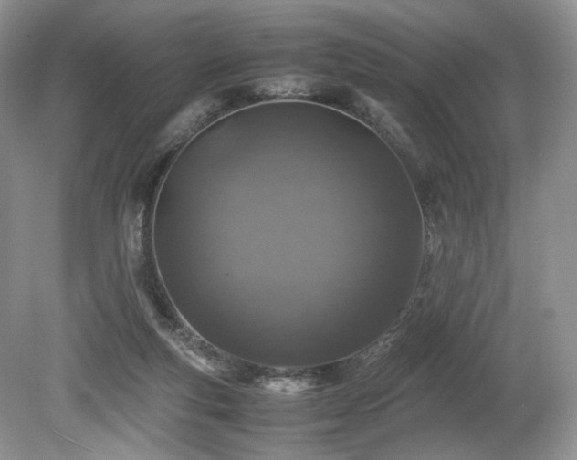 X0000080190163200612081436