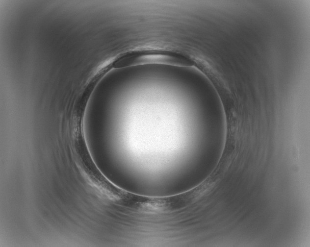 X0000080190164200612081436