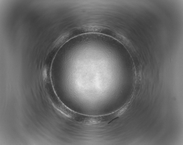 X0000080190166200612081436