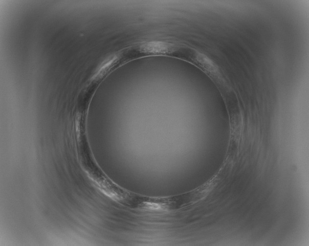 X0000080190167200612081436