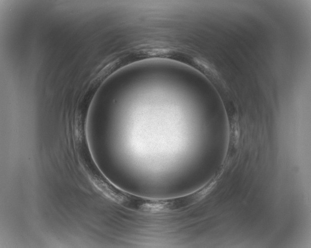 X0000080190170200612081437
