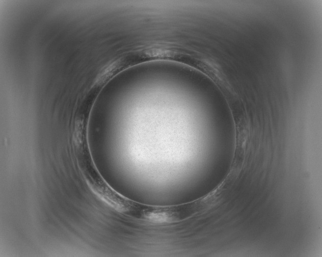 X0000080190171200612081437