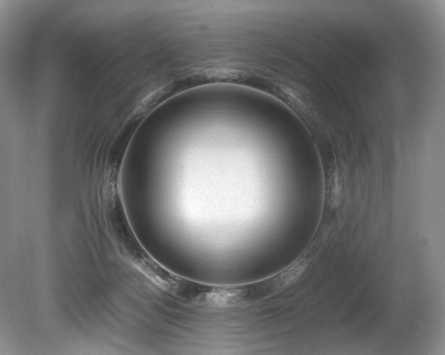 X0000080190172200612081437