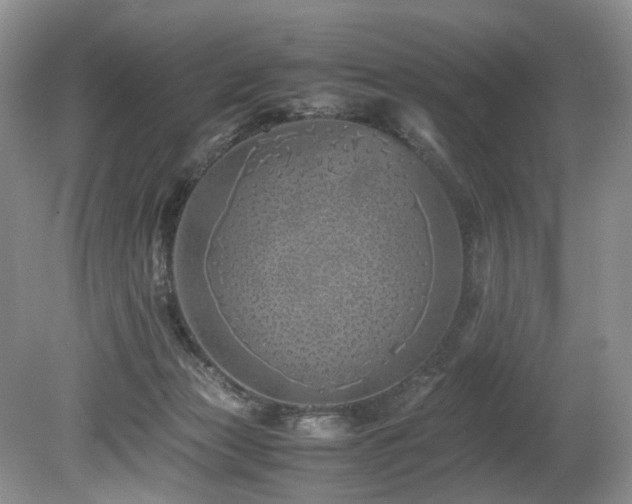 X0000080190173200612081437