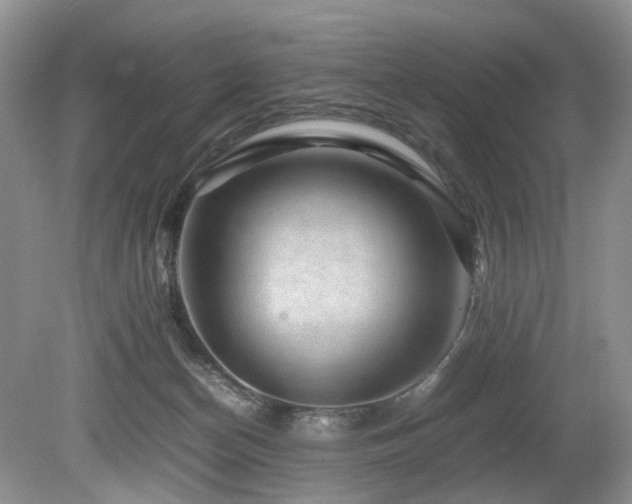 X0000080190174200612081437
