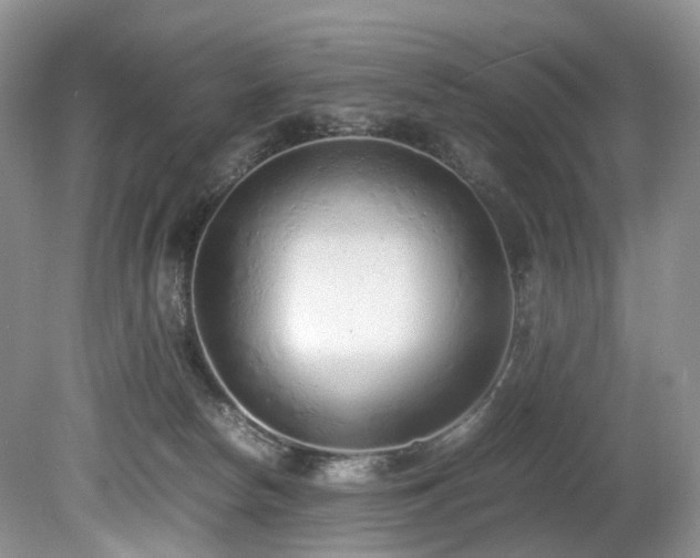 X0000080190178200612081437