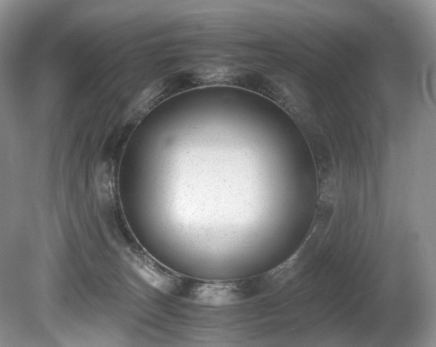 X0000080190179200612081437