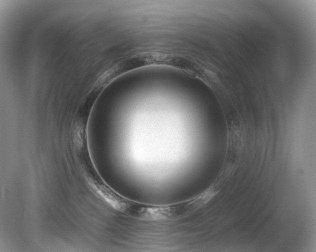 X0000080190188200612081437
