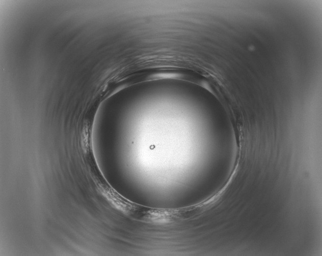 X0000080190190200612081437