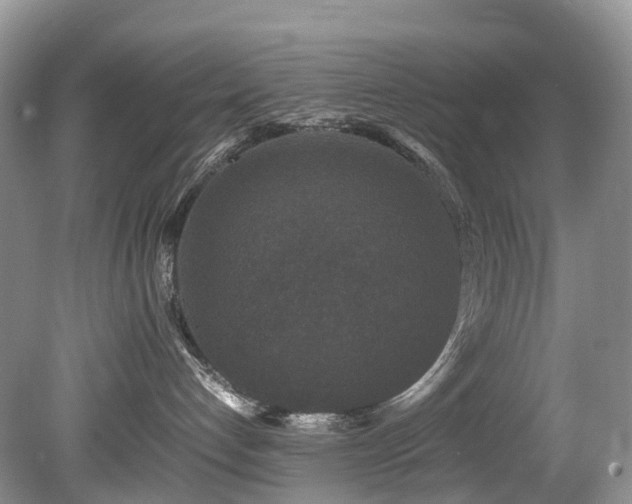 X0000080190192200612081437