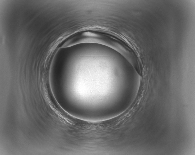 X0000080190193200612081436