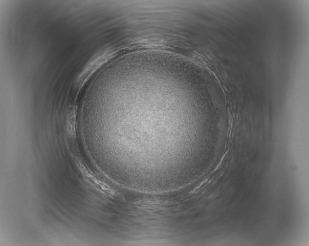 X0000080190194200612081436