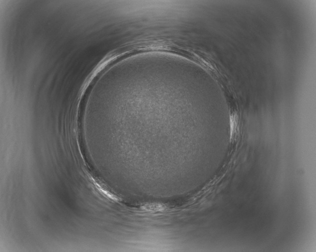X0000080190195200612081436