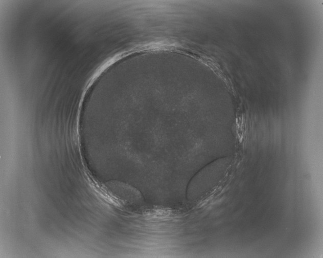 X0000080190196200612081436