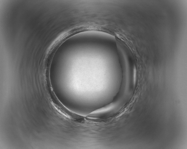 X0000080190197200612081436