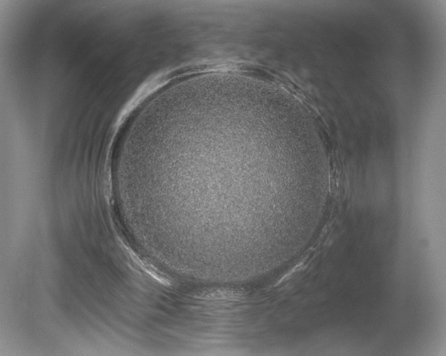 X0000080190198200612081436
