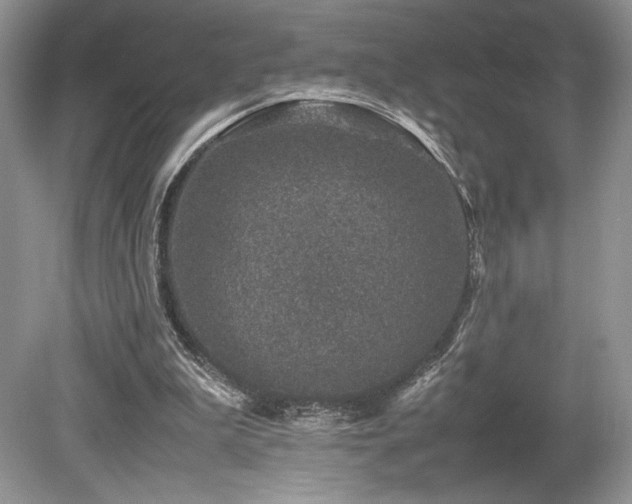 X0000080190199200612081436