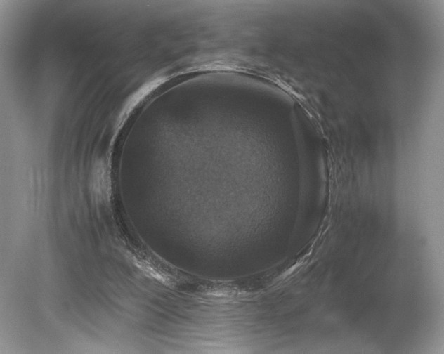 X0000080190200200612081436