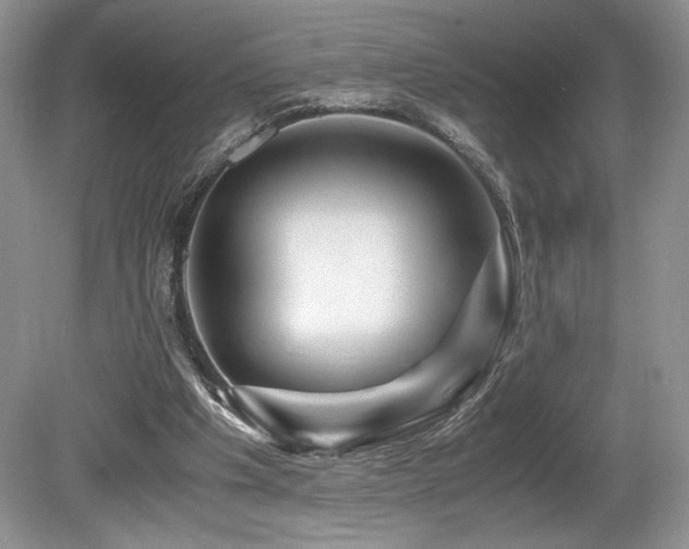 X0000080190201200612081436
