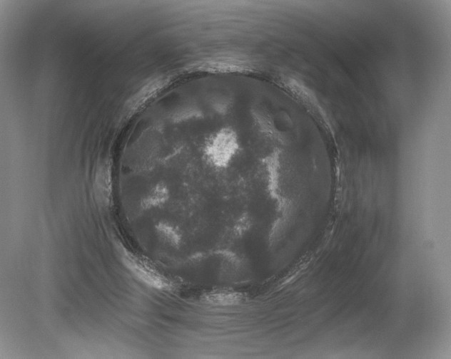 X0000080190202200612081436