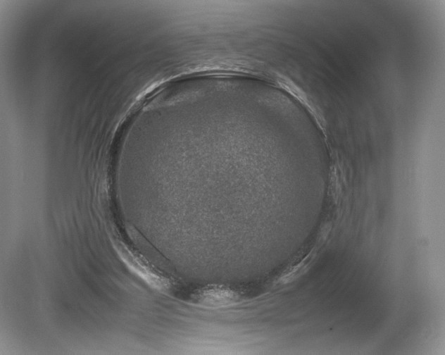 X0000080190203200612081436
