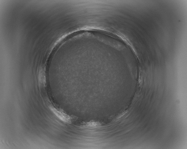 X0000080190204200612081436