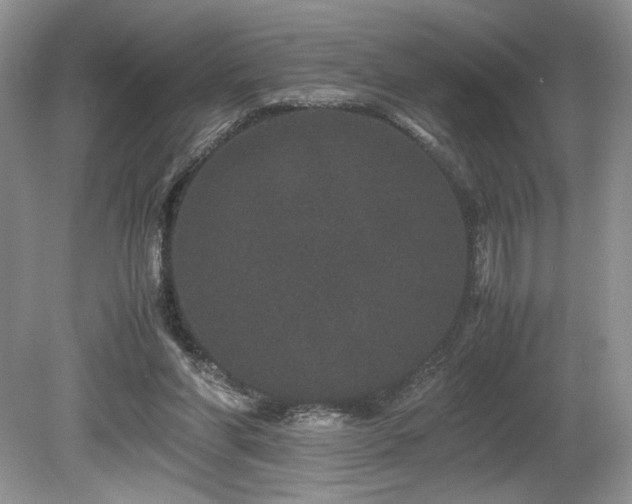 X0000080190206200612081436