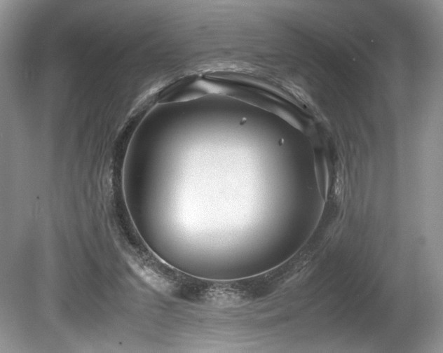 X0000080190207200612081436
