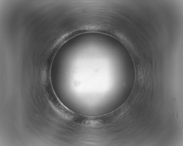 X0000080190208200612081436