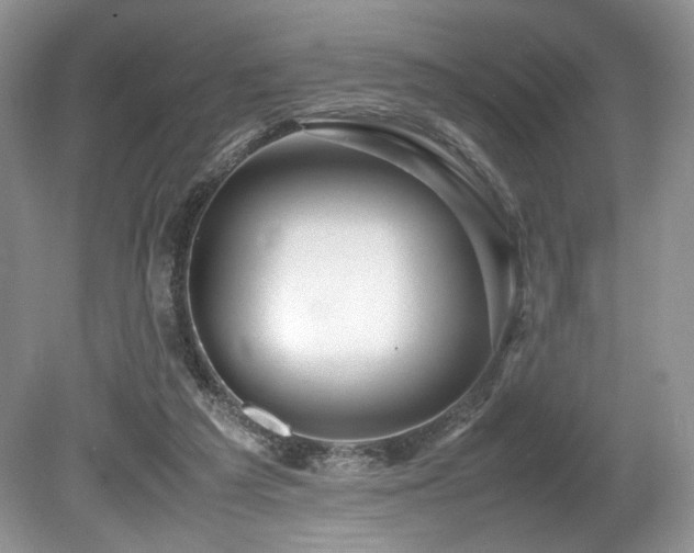 X0000080190209200612081436