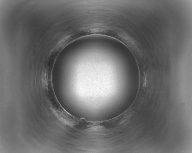 X0000080190210200612081436