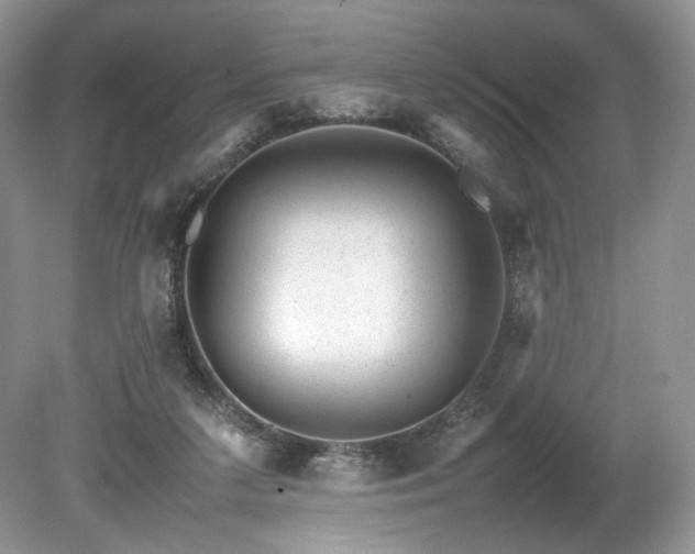 X0000080190211200612081436