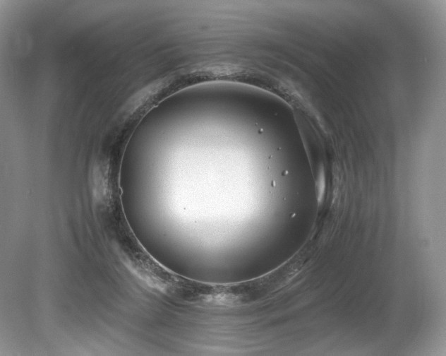X0000080190212200612081436