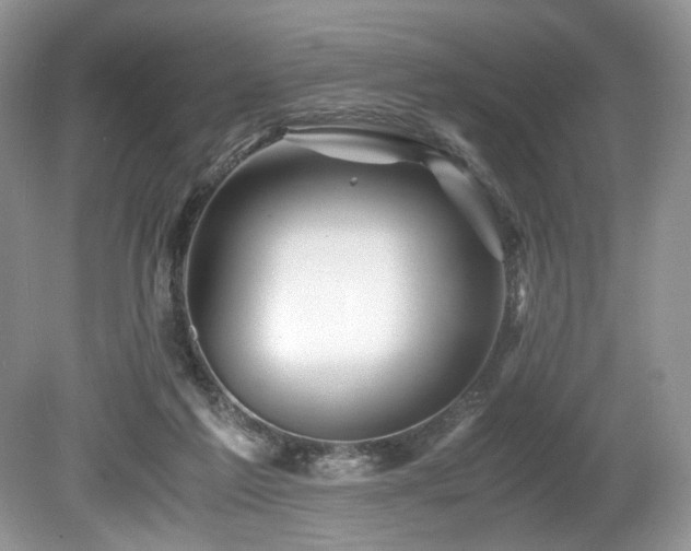 X0000080190213200612081436