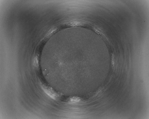 X0000080190214200612081436