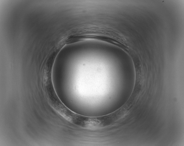 X0000080190215200612081436