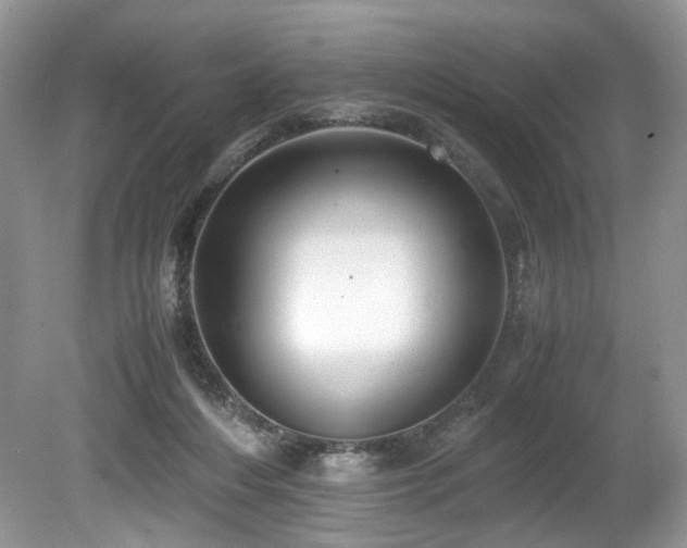 X0000080190216200612081436