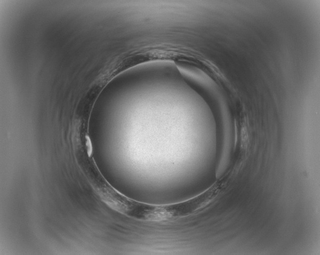 X0000080190217200612081436
