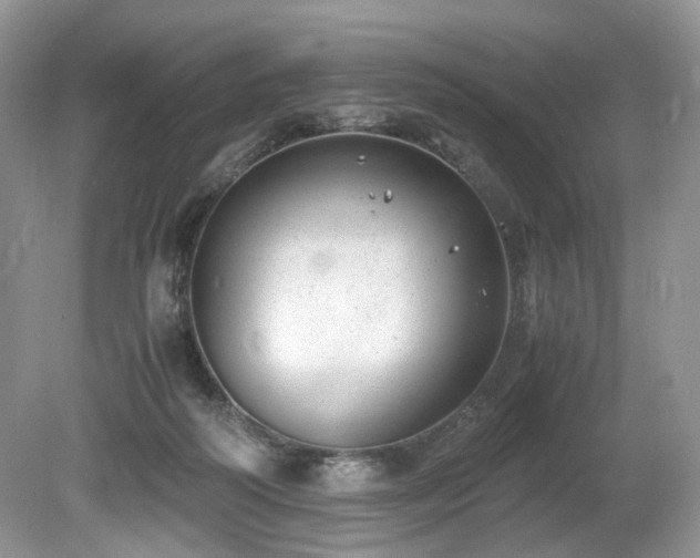 X0000080190218200612081436