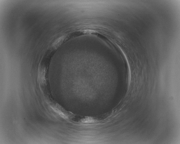X0000080190219200612081436