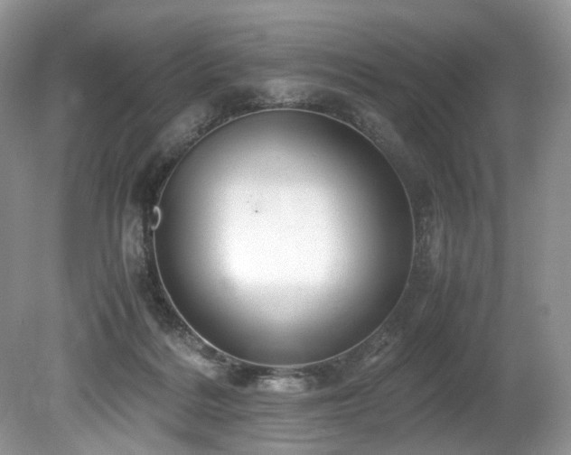 X0000080190220200612081436
