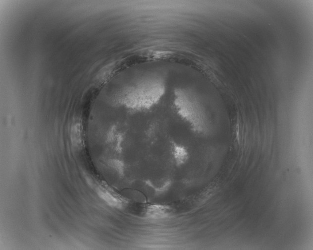 X0000080190222200612081436