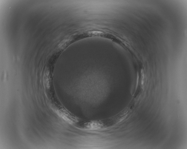 X0000080190223200612081436