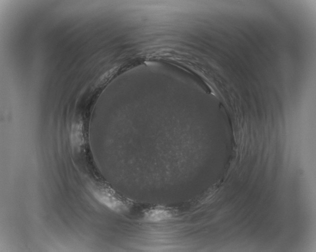 X0000080190224200612081436