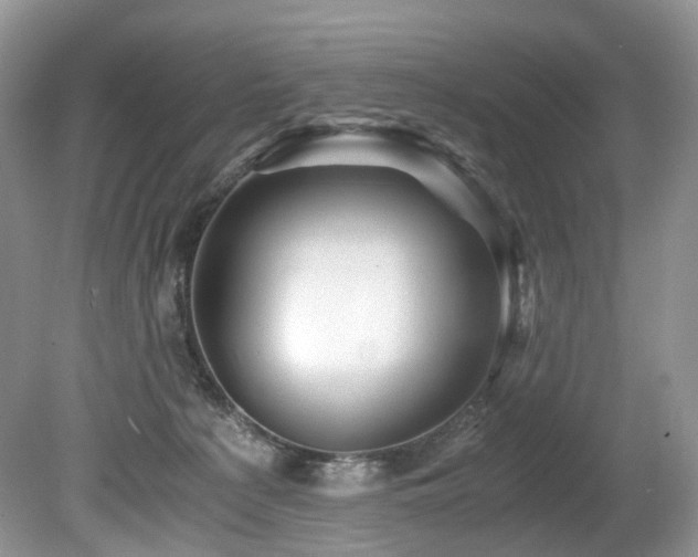 X0000080190225200612081436