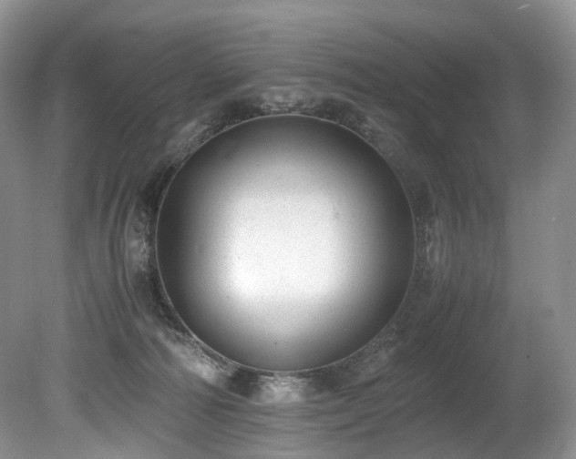 X0000080190226200612081436