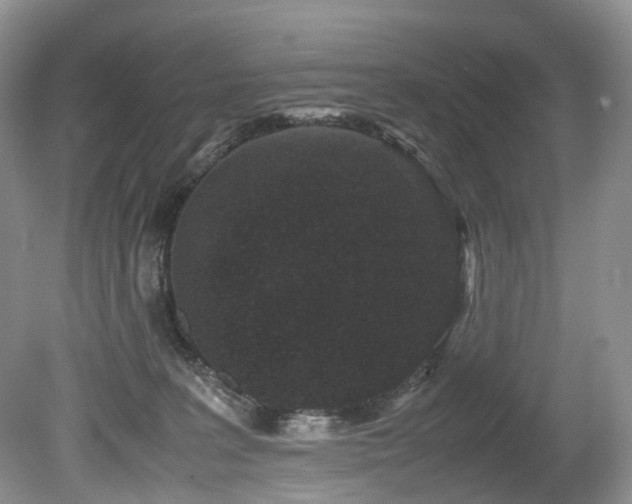 X0000080190227200612081435