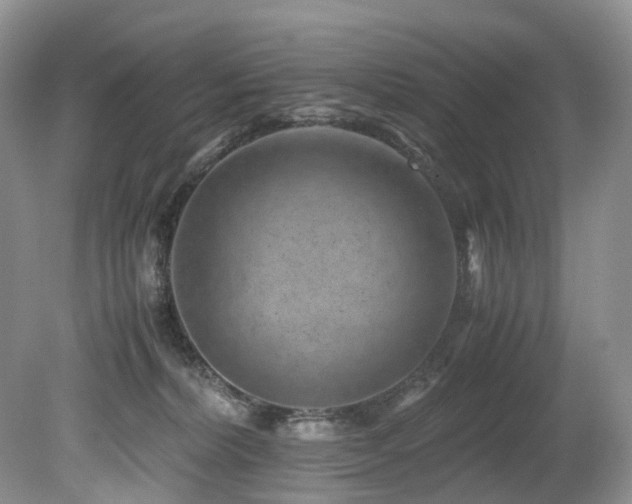 X0000080190228200612081435