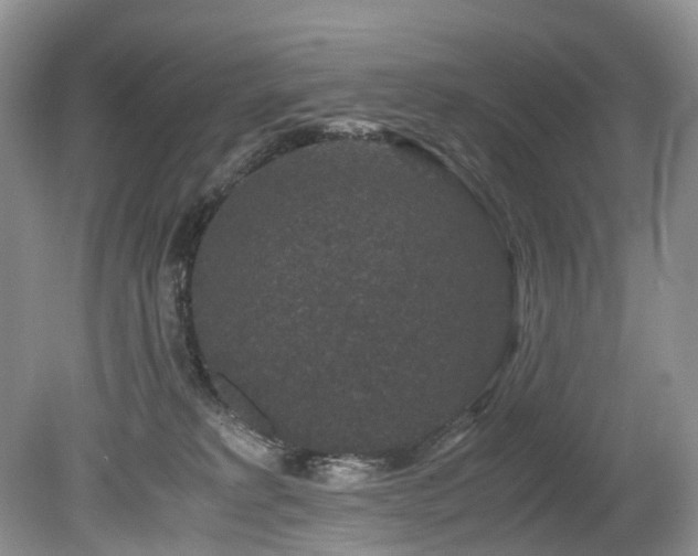 X0000080190229200612081435